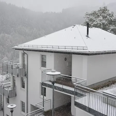 Apartamento Magnificent In With Balcony Willingen (Upland)