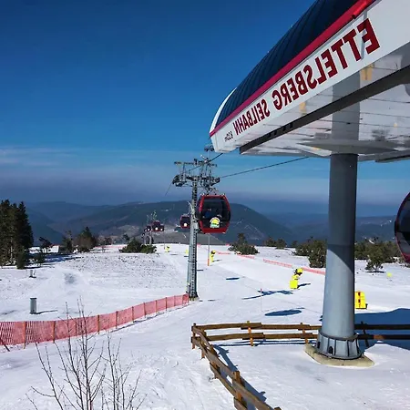 Apartment Magnificent In With Balcony *