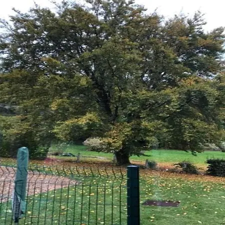 Magnificent In With Balcony Willingen (Upland)