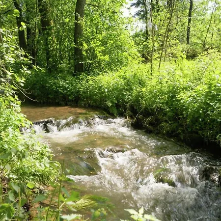 Magnificent In With Balcony Apartment Willingen (Upland)