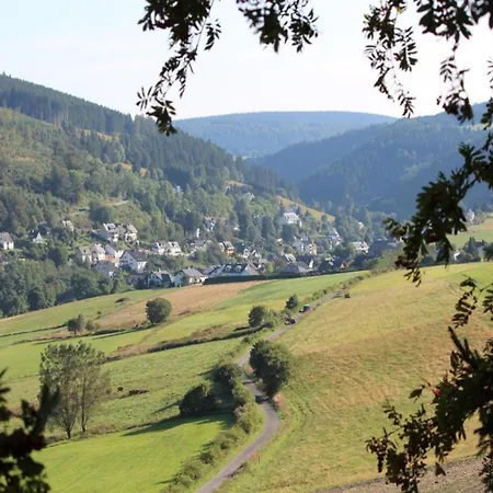 Magnificent In With Balcony * Willingen (Upland)