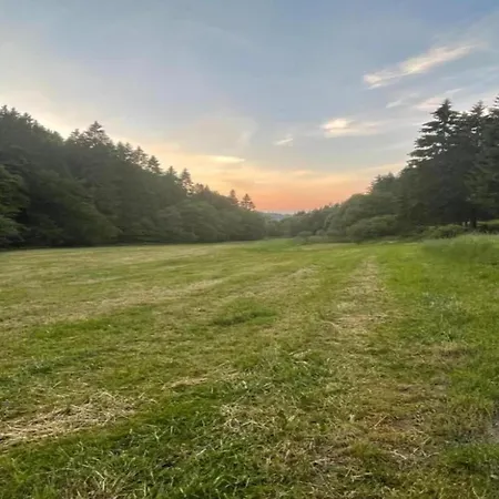 公寓 Magnificent In With Balcony *