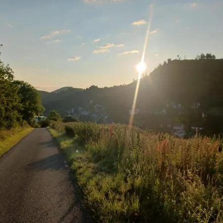 Magnificent In With Balcony Apartment Willingen (Upland)