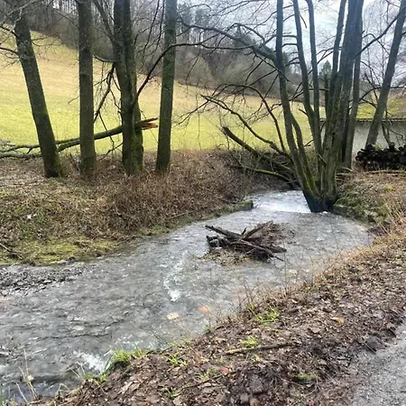 Apartment Magnificent In With Balcony Willingen (Upland)