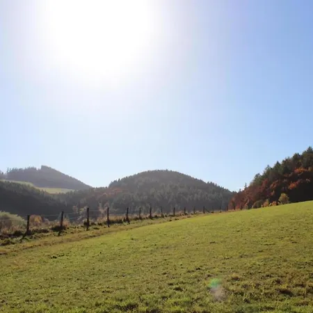 Magnificent In With Balcony 公寓 维林根