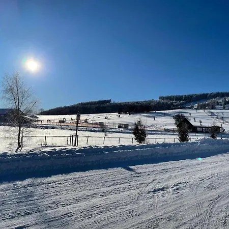 Magnificent In With Balcony Apartment