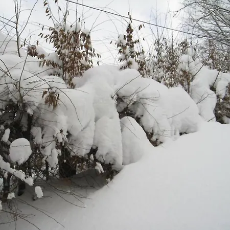 Apartment Magnificent In With Balcony