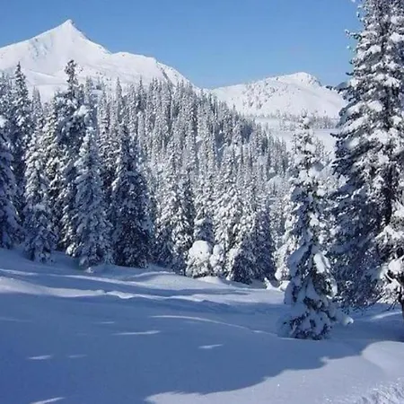 Magnificent In With Balcony Apartment *