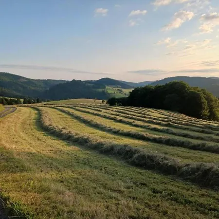 Magnificent In With Balcony Apartment
